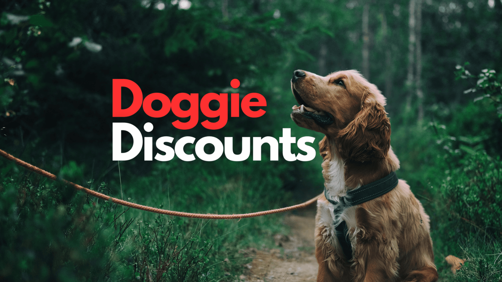 Doggie Discounts - Pet supplies and accessories